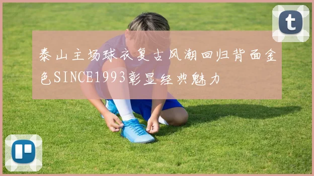 泰山主场球衣复古风潮回归背面金色SINCE1993彰显经典魅力