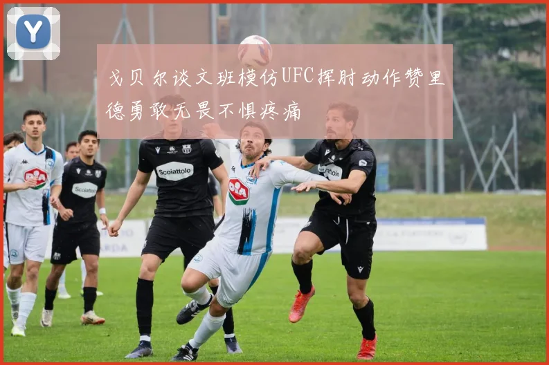 戈贝尔谈文班模仿UFC挥肘动作赞里德勇敢无畏不惧疼痛